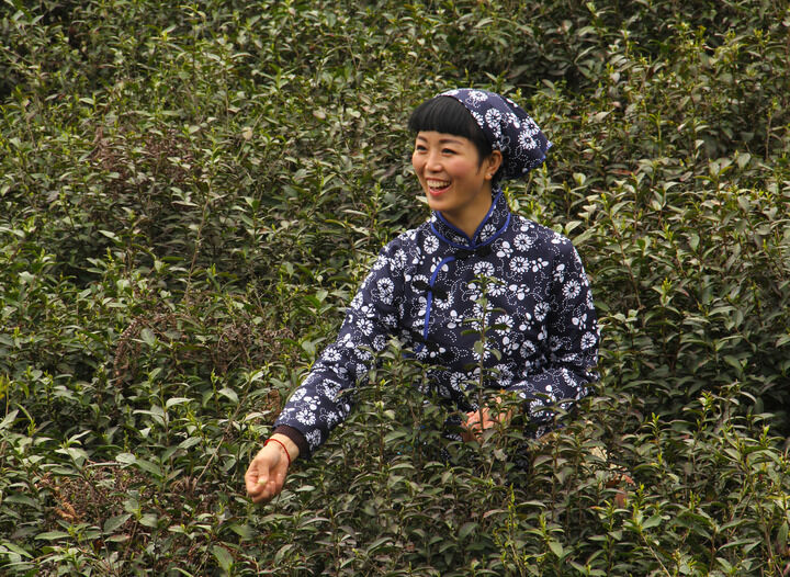 影视卡片